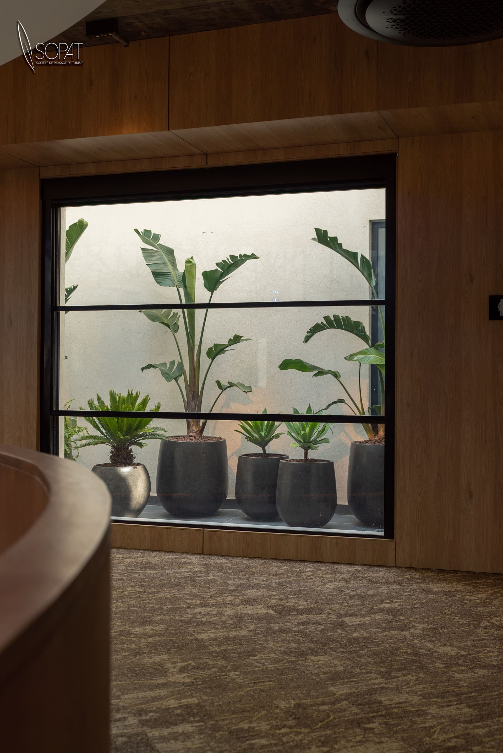 Project image 6