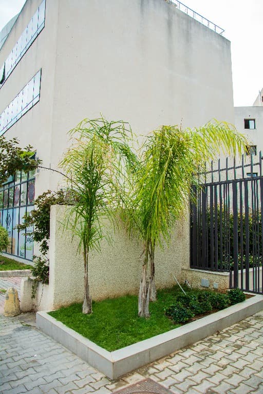 Project image 10