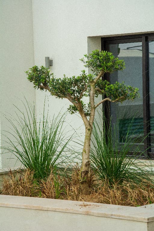 Project image 10