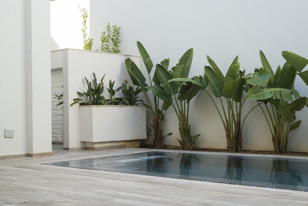 Villa Carthage