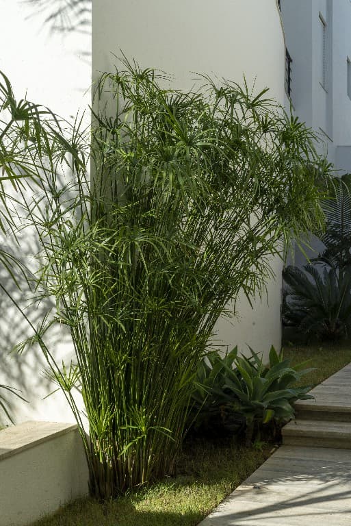 Project image 11
