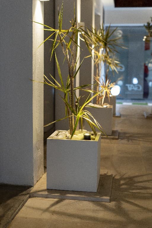 Project image 3