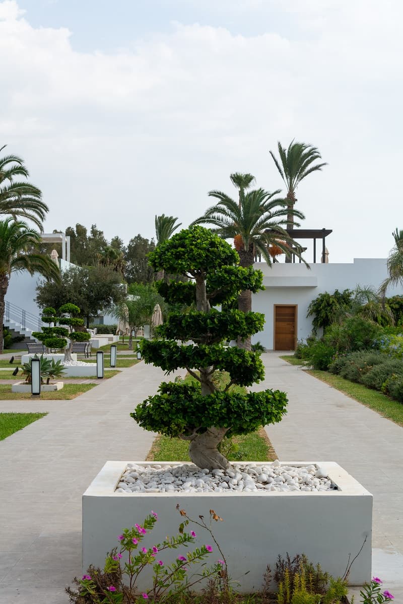 Project image 5