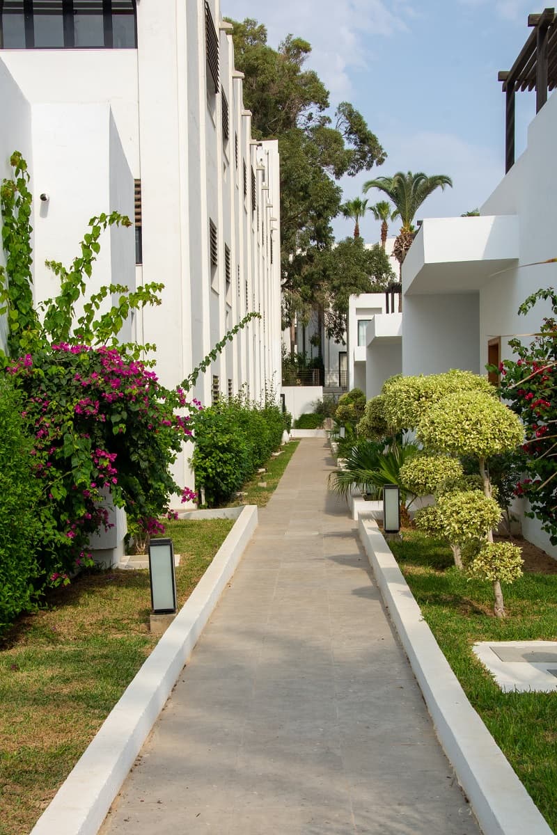 Project image 9