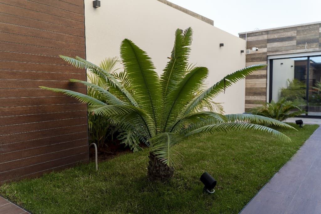 Project image 11