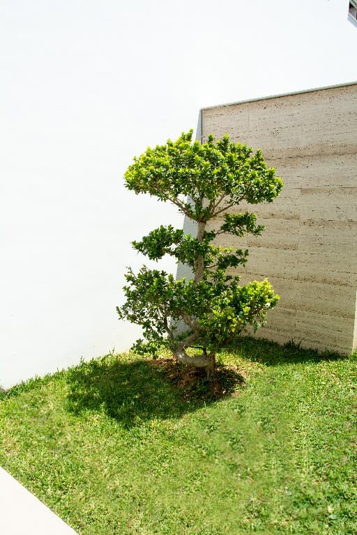 Project image 6